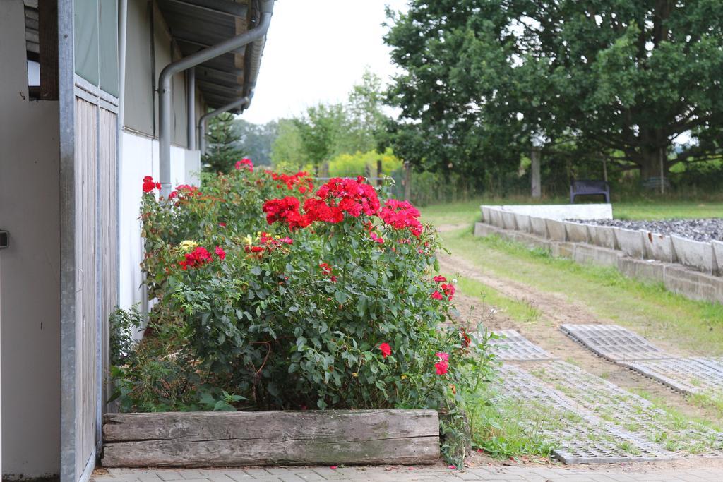 Ferienwohnungen In Den Wiesen Oranienburg Zewnętrze zdjęcie